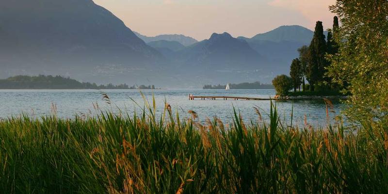 Well-lit workspace setup
