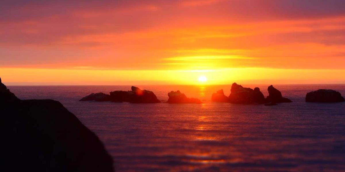 Essential Freelance Tools and Software in 2025